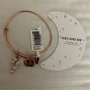 Alex and ani bangle candy cane bracelet